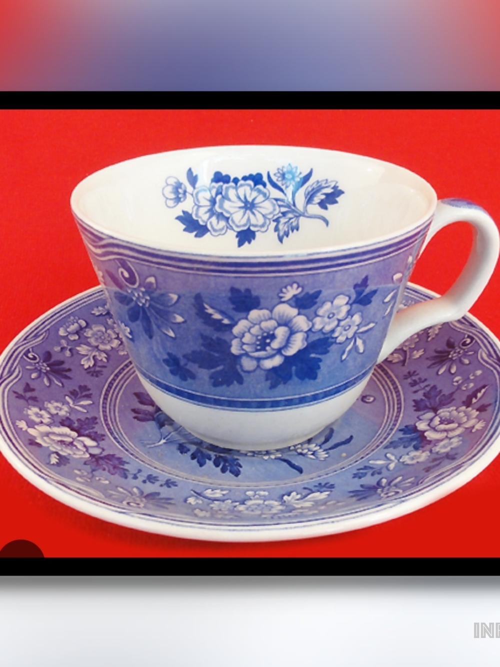 Spode Blue Room Floral Porcelain Teacup and Saucer
